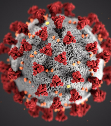 COVID-19: “The Elimination of the Virus Is Always Possible”
