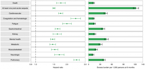 Beginning to Grasp the Burden of Long Covid and it’s Impact on the Lives of Millions