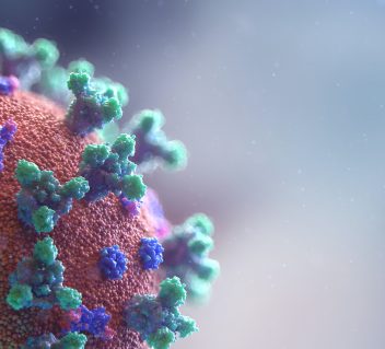 BA.5 and the Risk of Infection