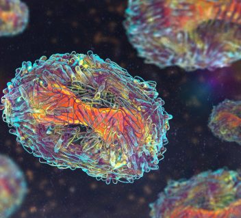 Special Issue: Monkeypox