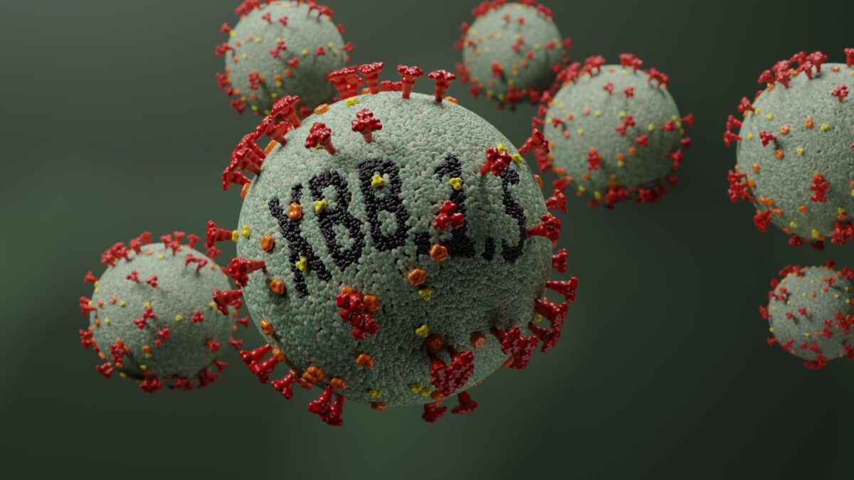 Xbbd The New XBB.1.5 Variant: What You Need to Know - WHN