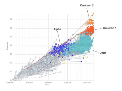 Herd Immunity Falls Off the Table