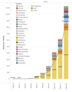 New Subvariant Arcturus: India and the World