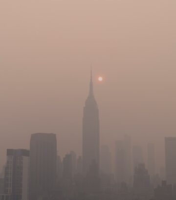 Breathing Clean Air: The Importance and Benefits of HEPA Filters at Home