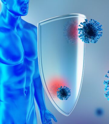 Wie das Immunsystem arbeitet – Fakten und Irrtümer