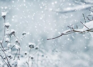 Navigating Long COVID During the Holiday Season