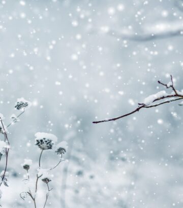 Navigating Long COVID During the Holiday Season