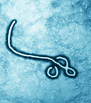 Ebola Outbreak